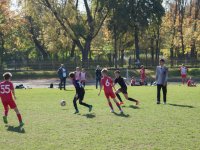 IMG_8139